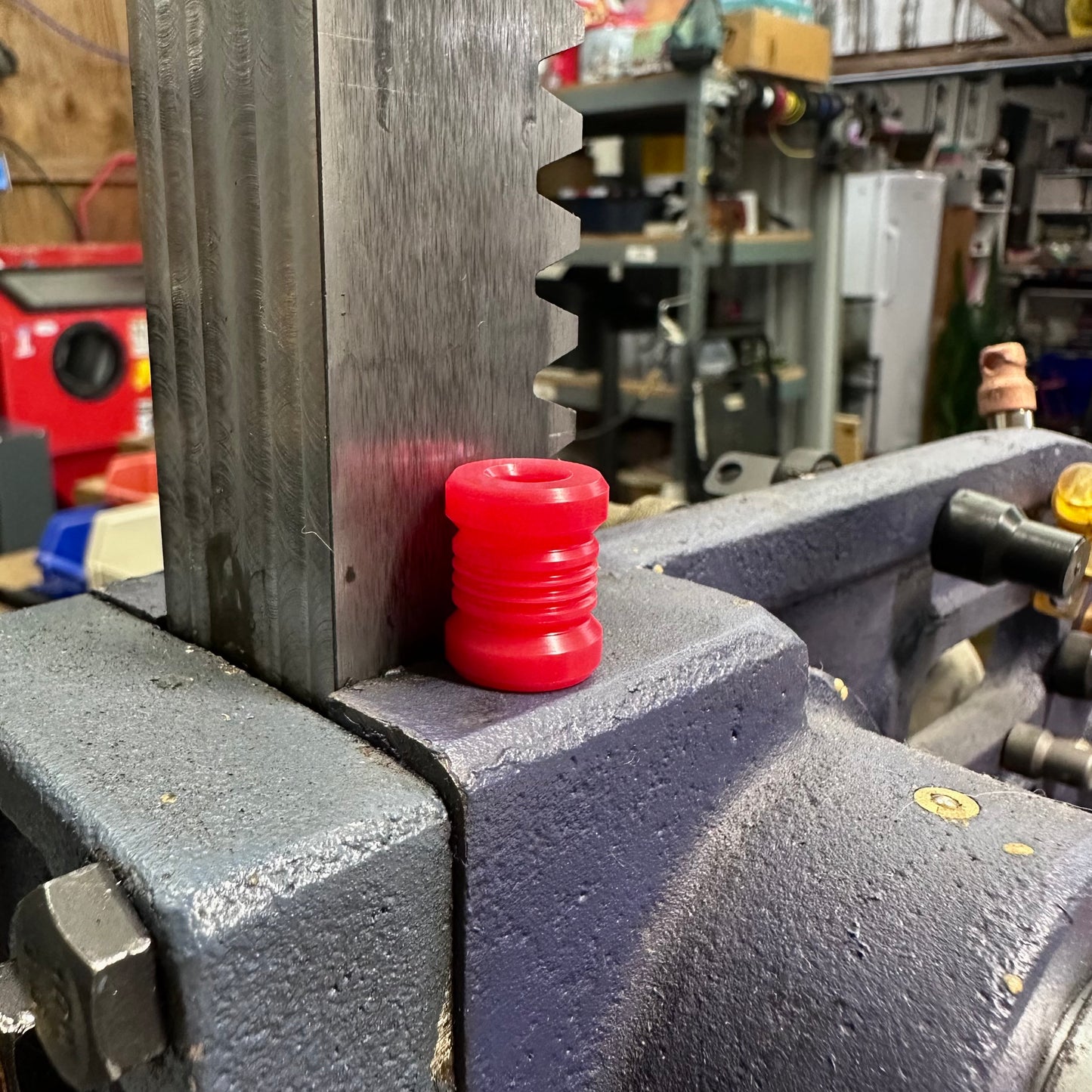 Stallion Bead